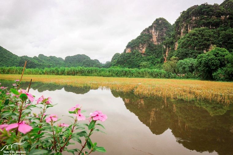 Tam Cốc Garden Resort
